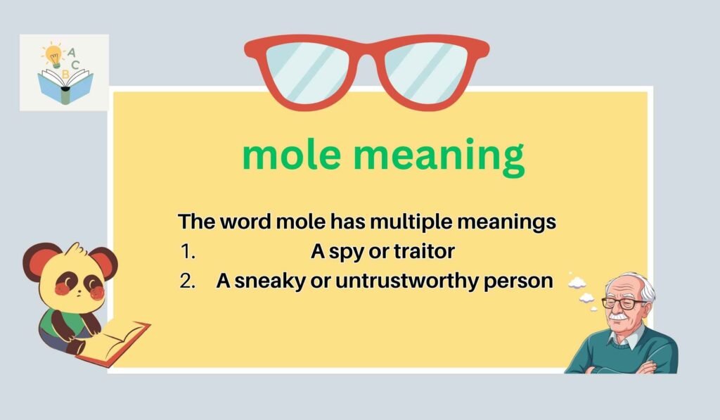 mole meaning