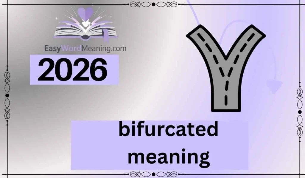 bifurcated meaning
