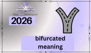bifurcated meaning
