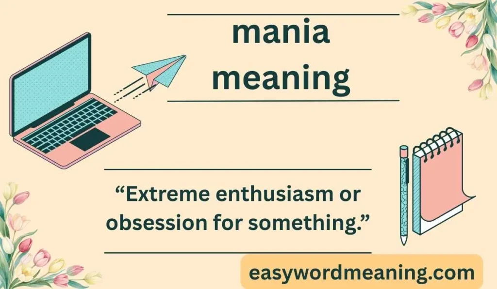 mania meaning