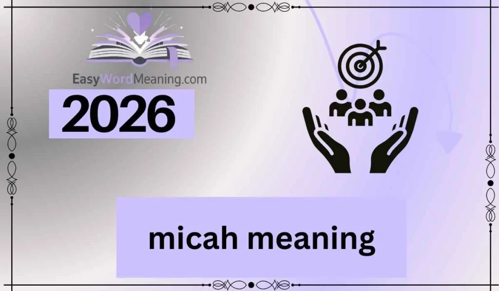 micah meaning