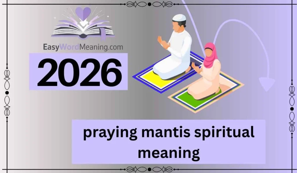 praying mantis spiritual meaning