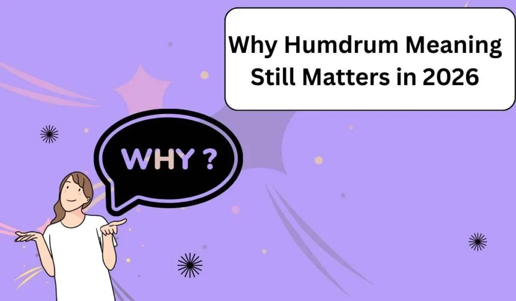 Why Humdrum Meaning Still Matters in 2026