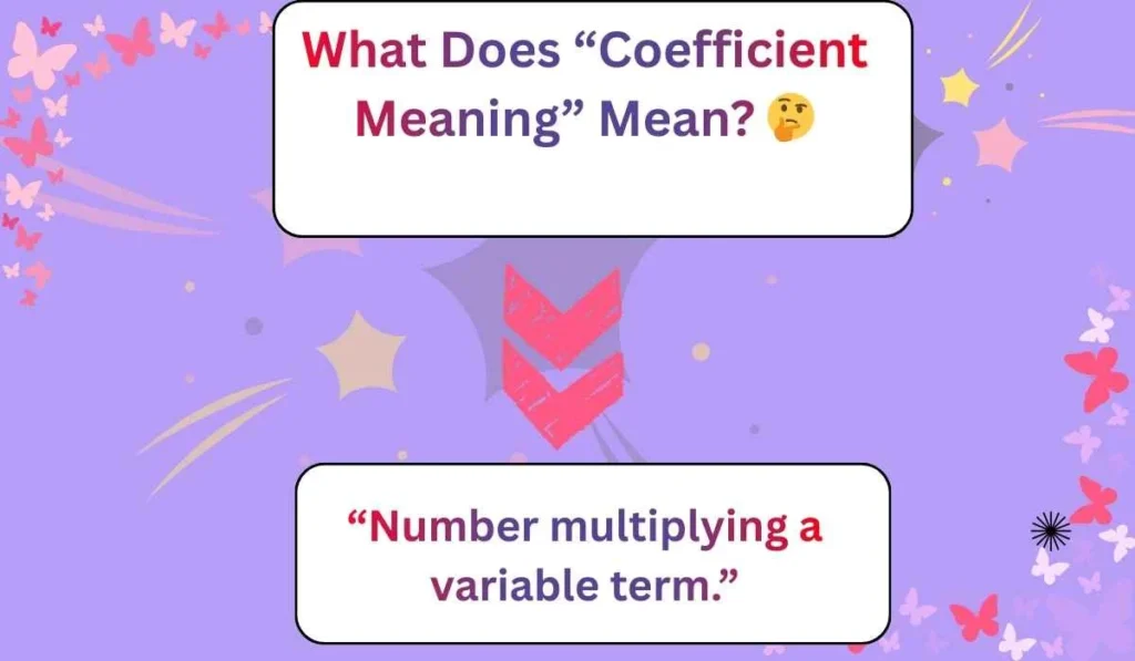 What Does “Coefficient Meaning” Mean? 