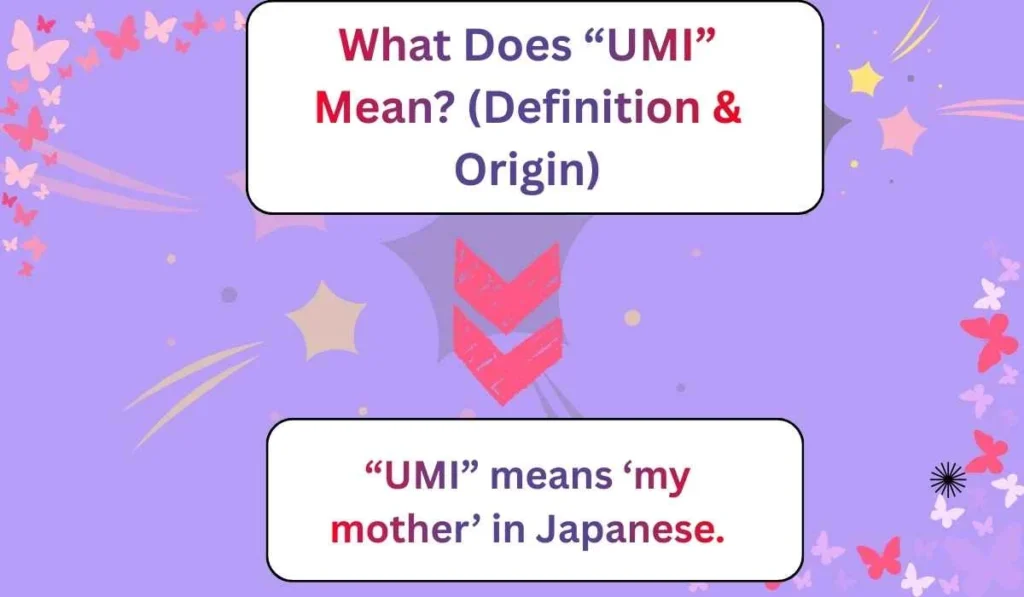 What Does “UMI” Mean?