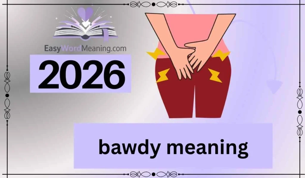 bawdy meaning