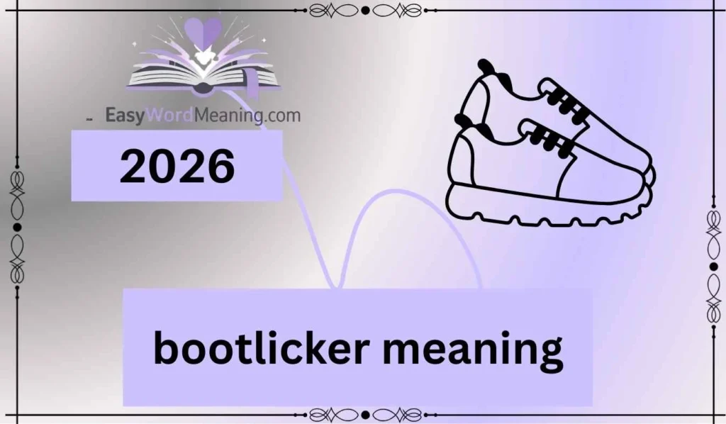 bootlicker meaning