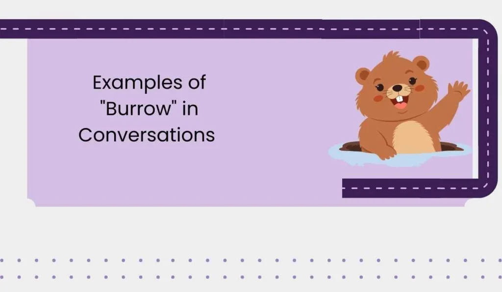 Examples of "Burrow" in Conversations 