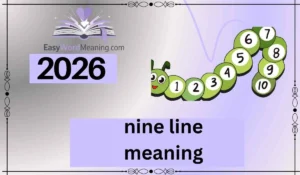nine line meaning