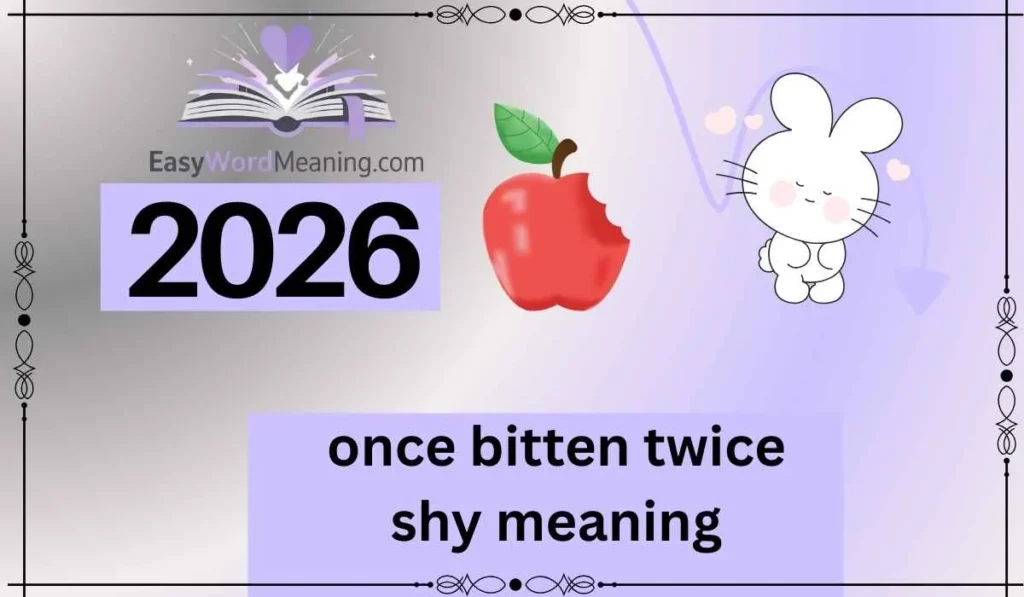 once bitten twice shy meaning