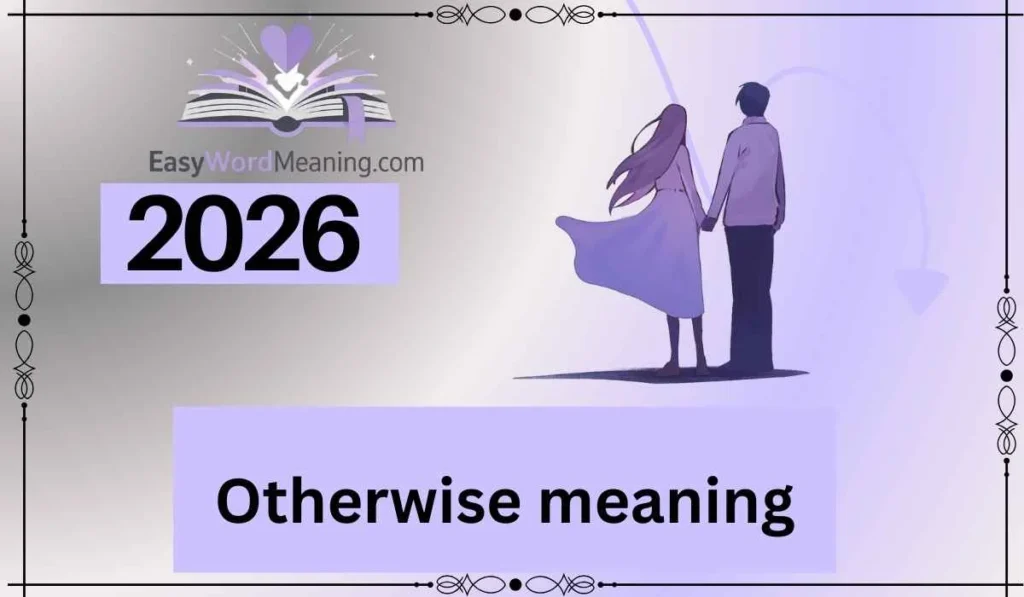 Otherwise meaning