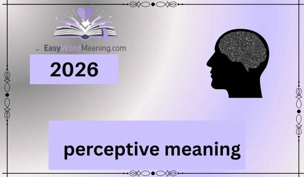 perceptive meaning
