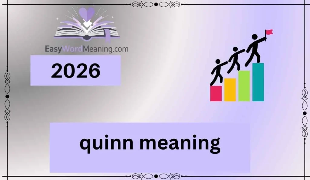 quinn meaning