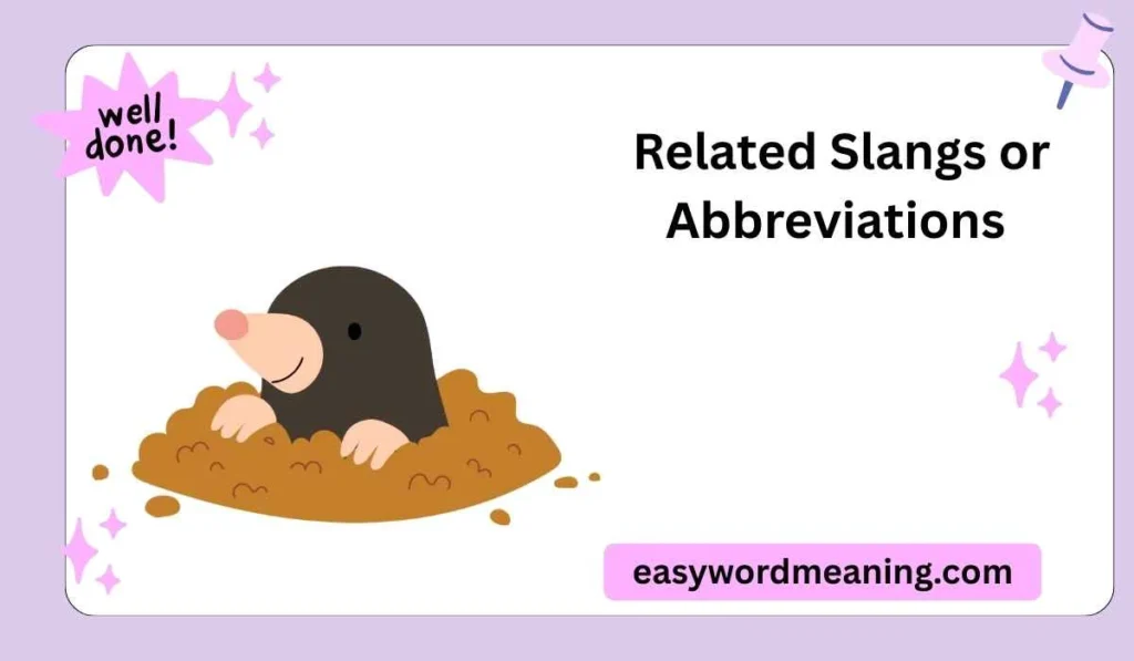 Related Slangs or Abbreviations 