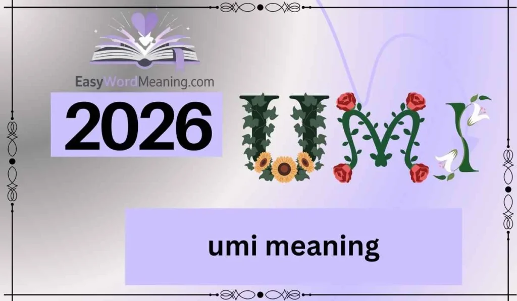 umi meaning