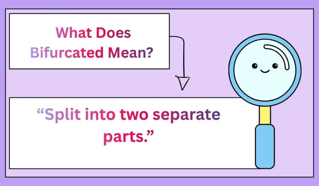 What Does Bifurcated Mean? 