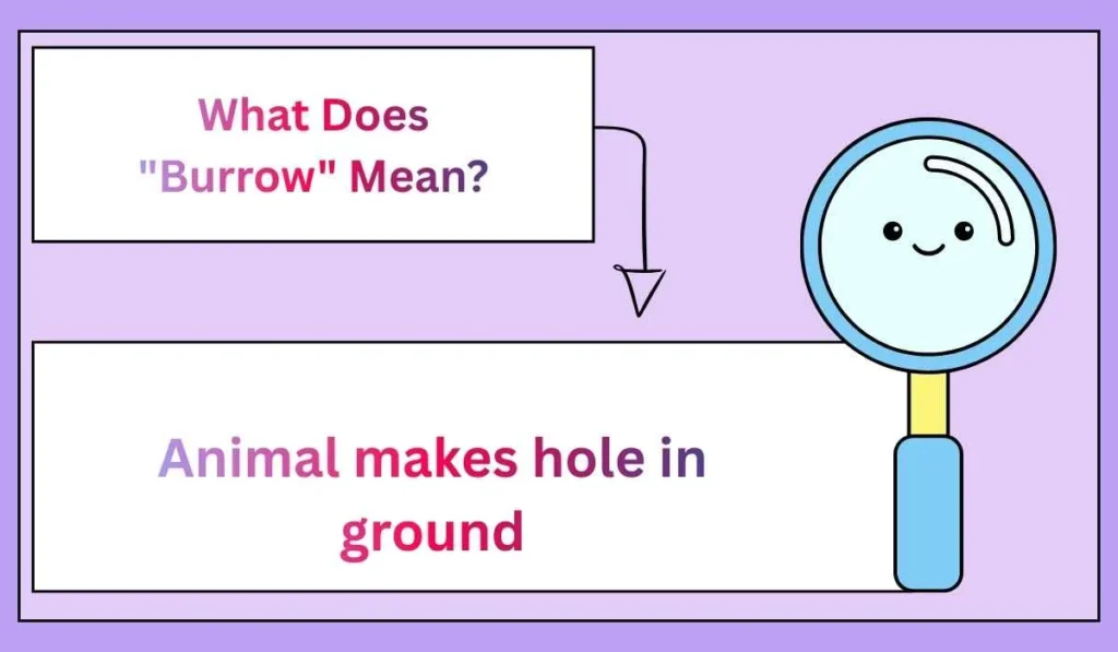 What Does "Burrow" Mean?