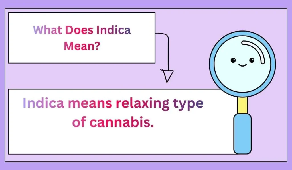 What Does Indica Mean?