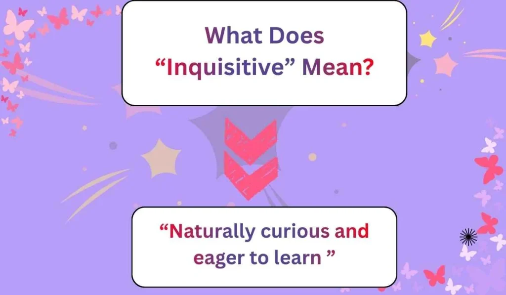 What Does “Inquisitive” Mean?