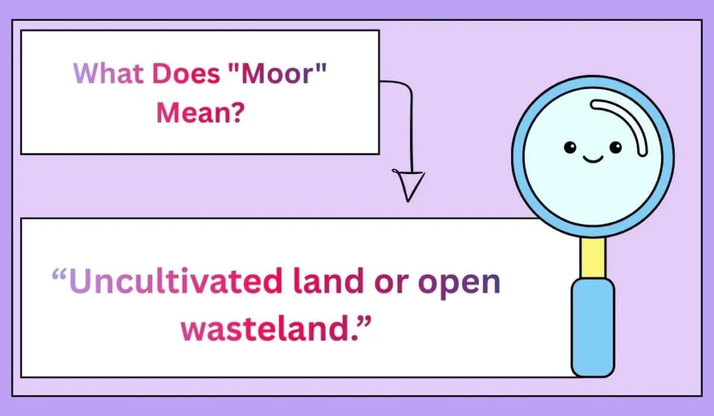 What Does "Moor" Mean?