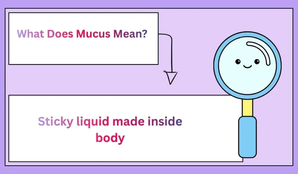 What Does Mucus Mean?