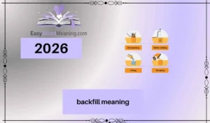 backfill meaning