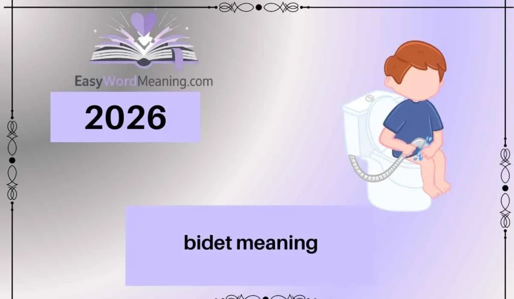 bidet meaning