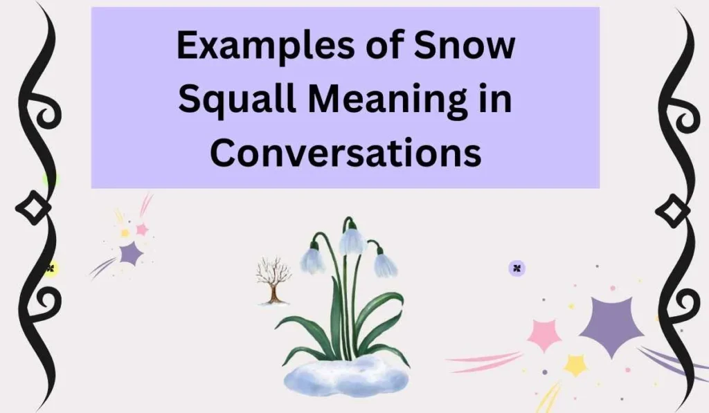 Examples of Snow Squall Meaning in Conversations