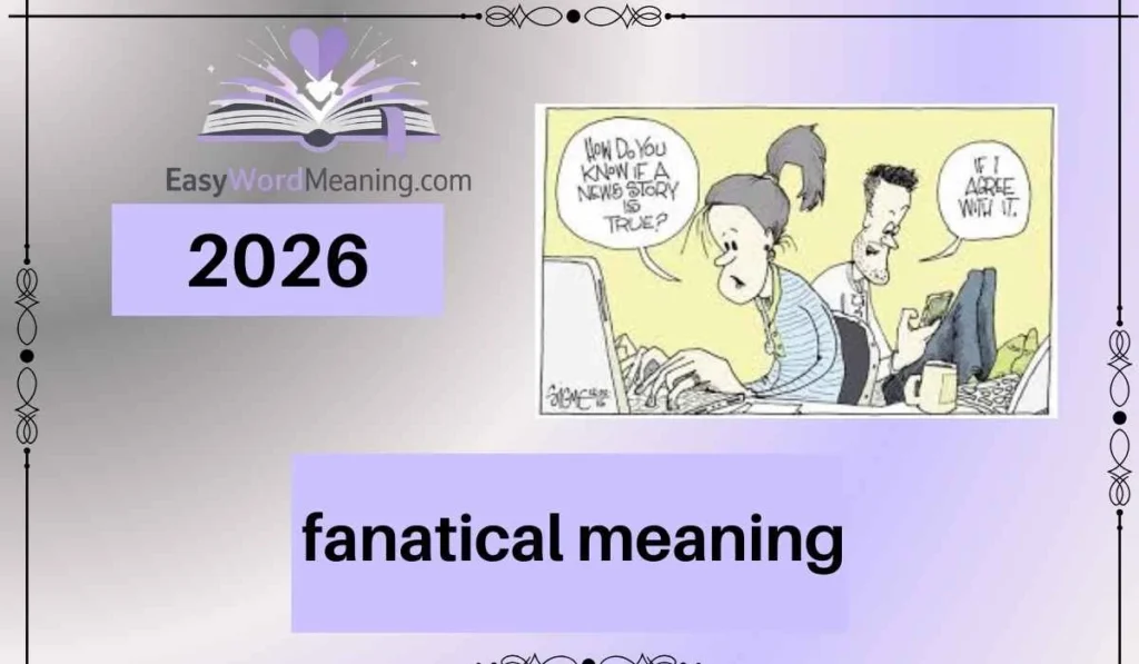 fanatical meaning