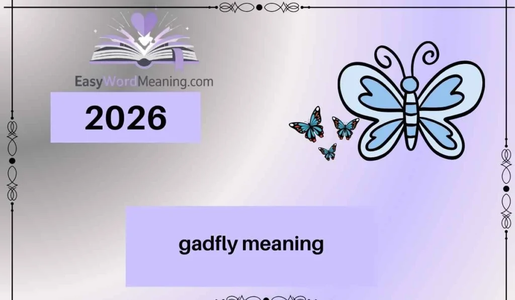 gadfly meaning