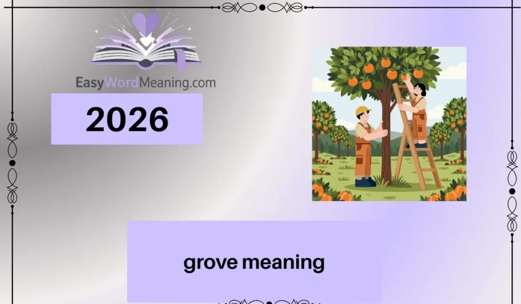 grove meaning