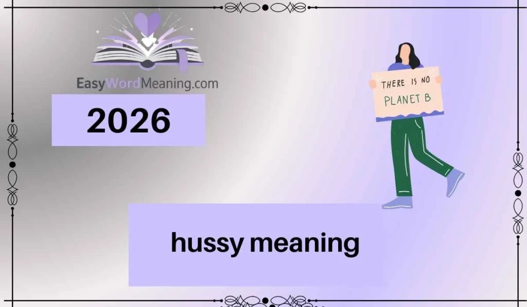 hussy meaning