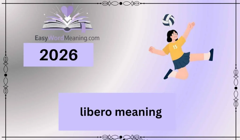 libero meaning