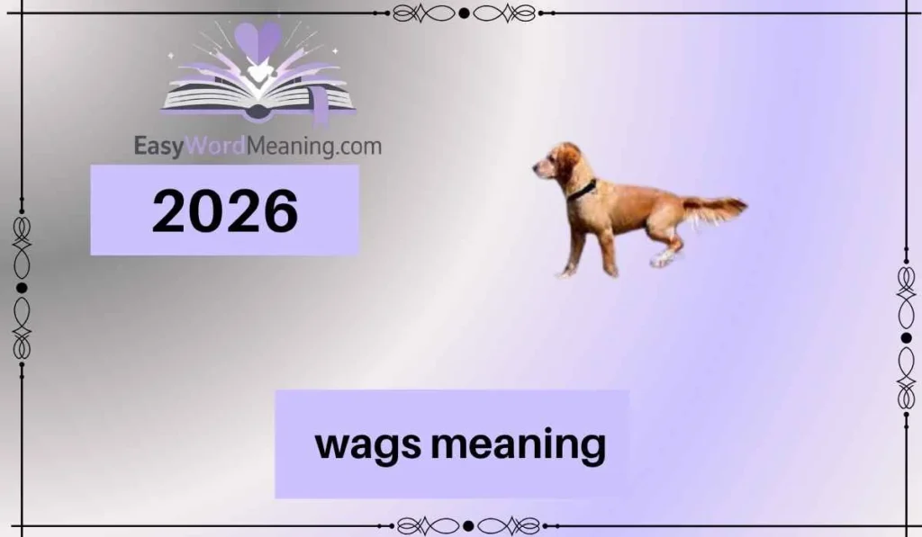 wags meaning