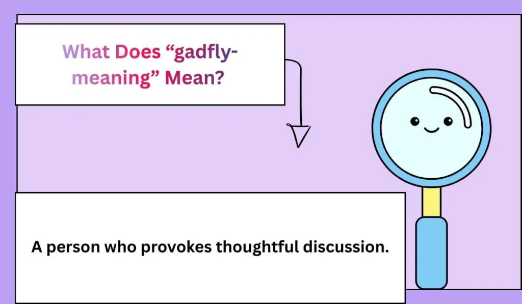 What Does “gadfly-meaning” Mean? 