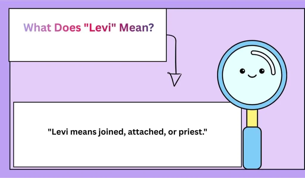 What Does "Levi" Mean?
