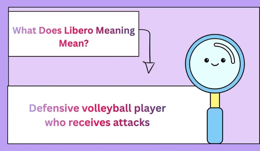 What Does Libero Meaning Mean?