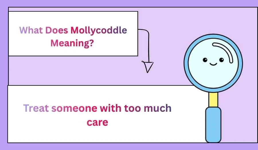 What Does Mollycoddle Meaning?
