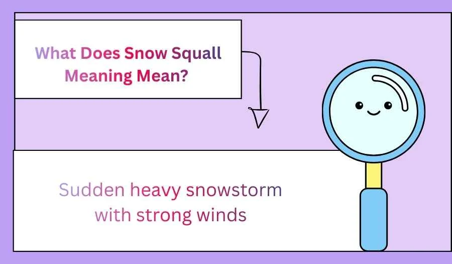 What Does Snow Squall Meaning Mean?