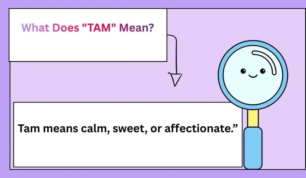 What Does "TAM" Mean? 