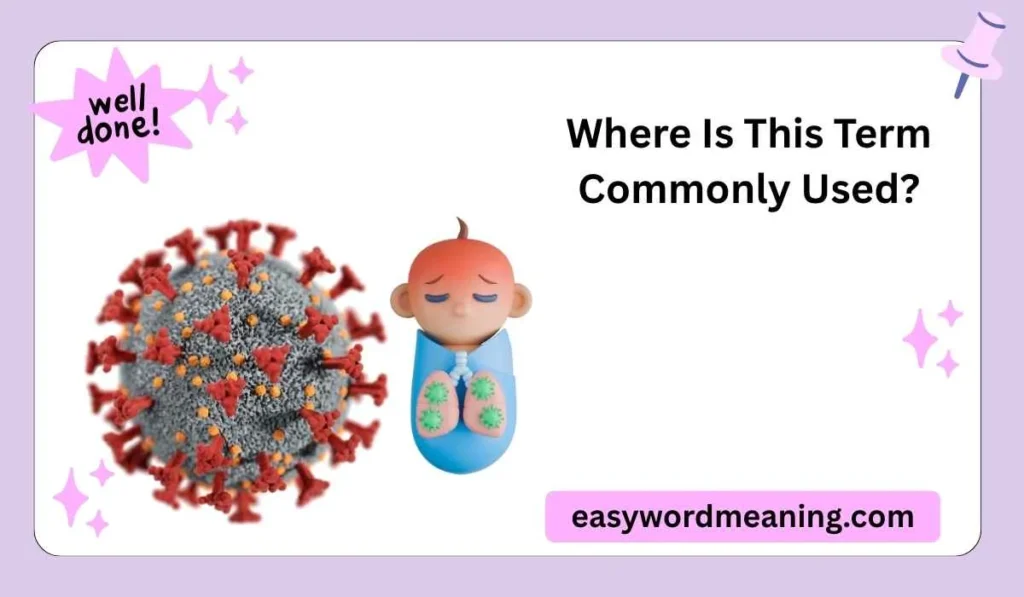  Where Is This Term Commonly Used?