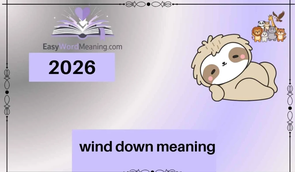wind down meaning