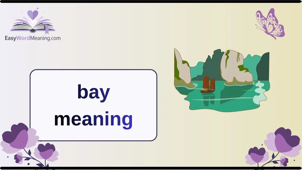 Bay Meaning