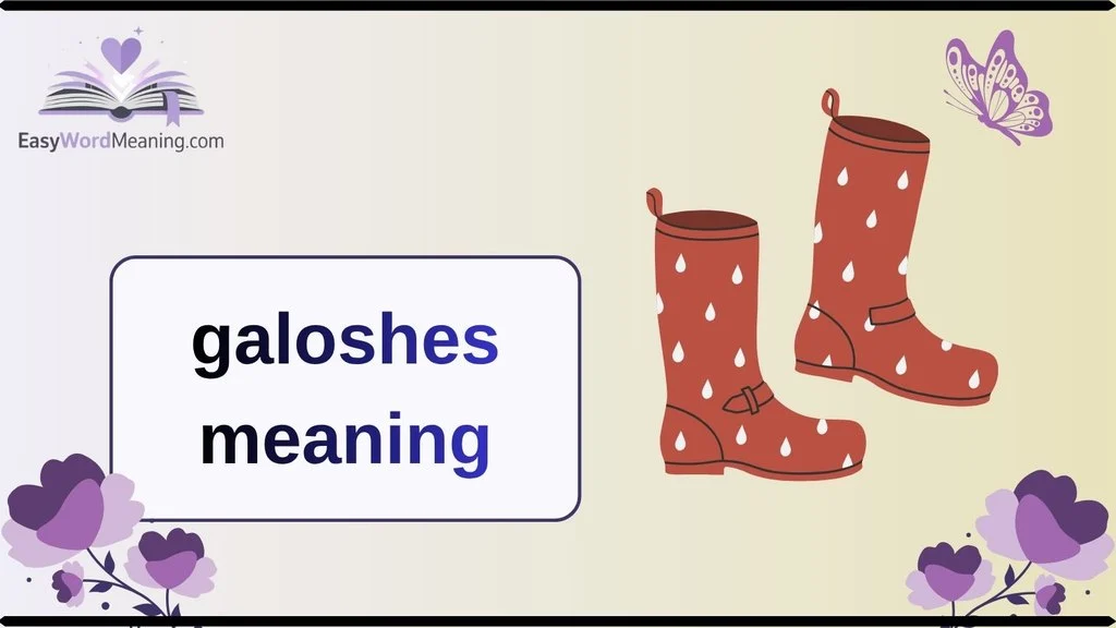 galoshes meaning