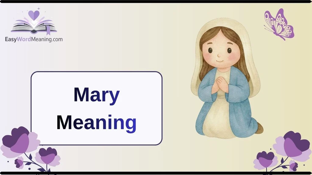 Mary Meaning