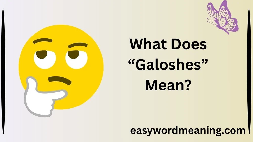 What Does “Galoshes” Mean?