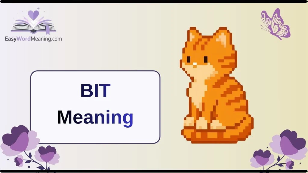 BIT Meaning