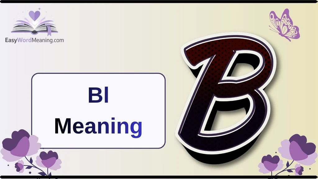 BL Meaning