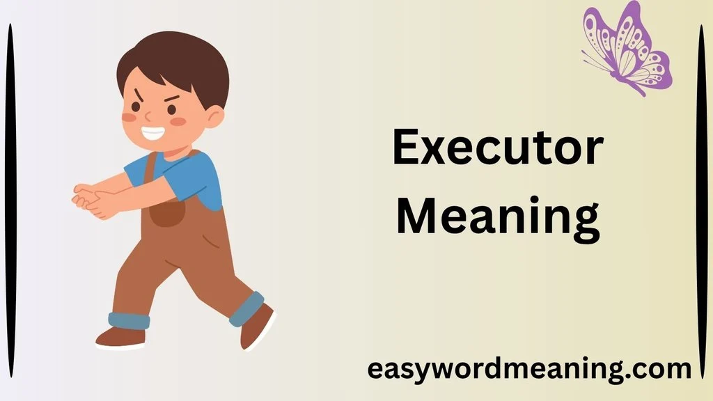 Executor Meaning