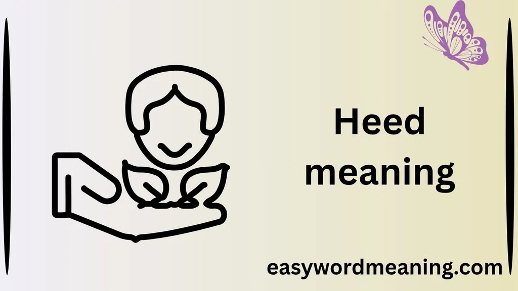Heed meaning